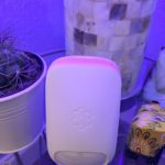 Family and Home Security Must Be A Priority