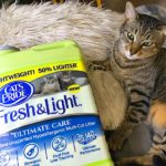 Help Save Shelter Cats With The Litter For Good Program