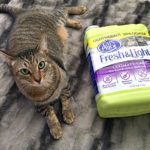 Help Cat’s Pride Donate to Local Animal Shelters