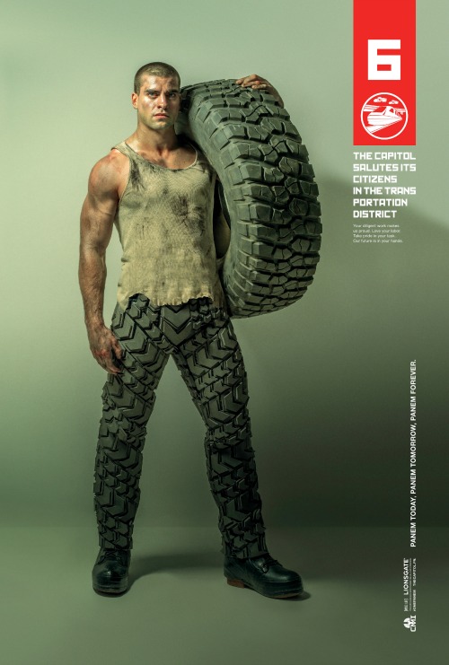 Mockingjay Part 1 - D6 District Heroes Collection