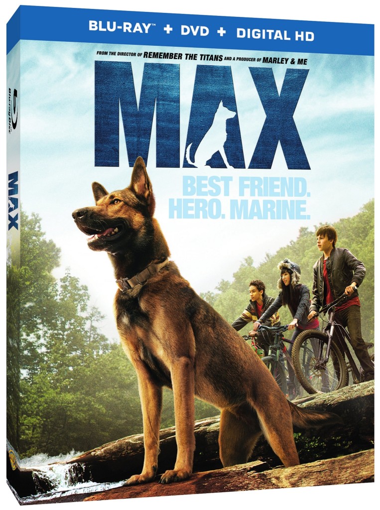 Max 3D Box Art