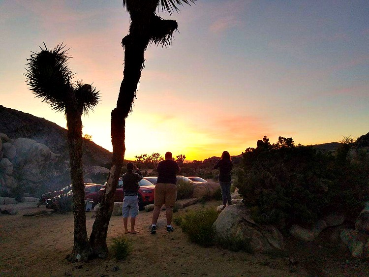 The sun begins to set on Joshua Tree National Park