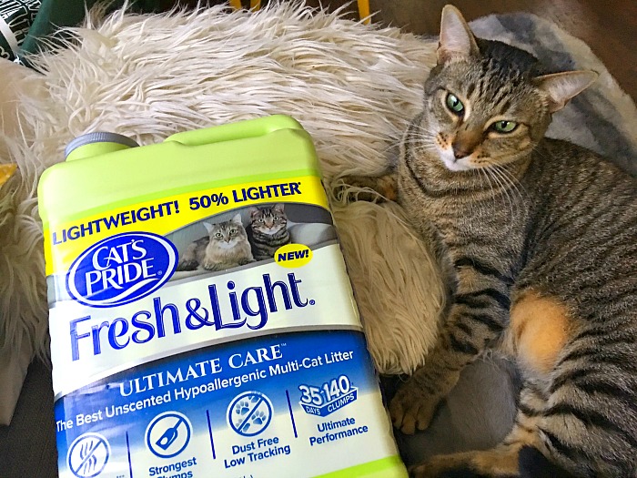 Help Save Shelter Cats With The Litter For Good Program Rick On the Rocks