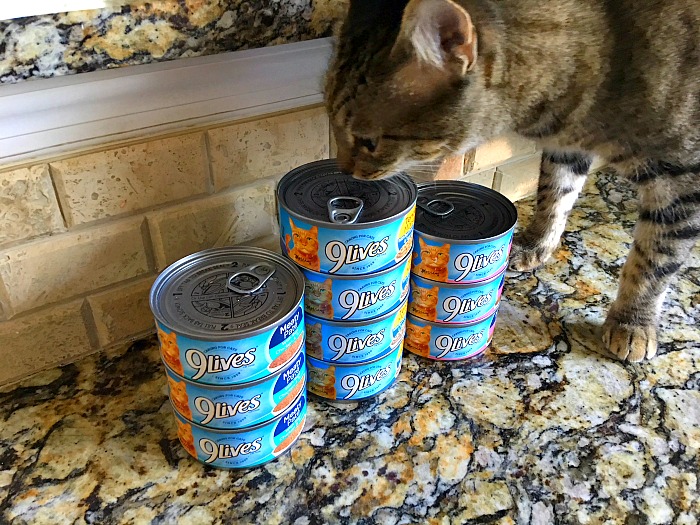 finicky 9lives spokescat