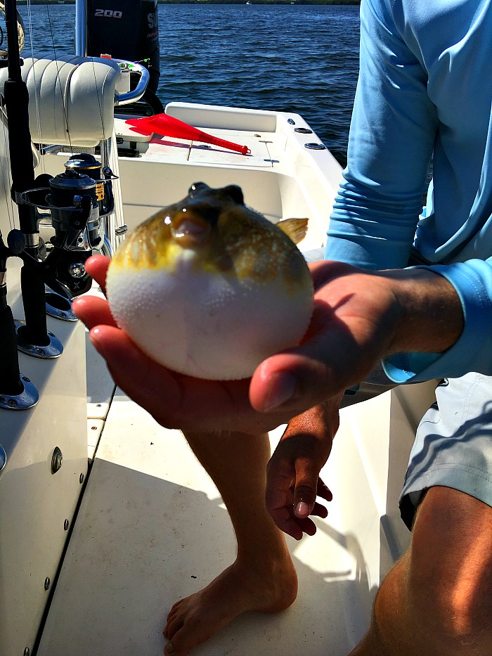 Fishing In Punta Gorda, Florida