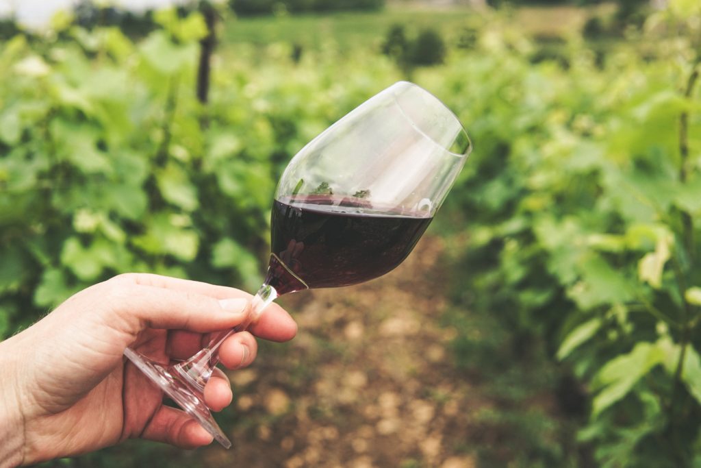 Surprising Facts About Wineries