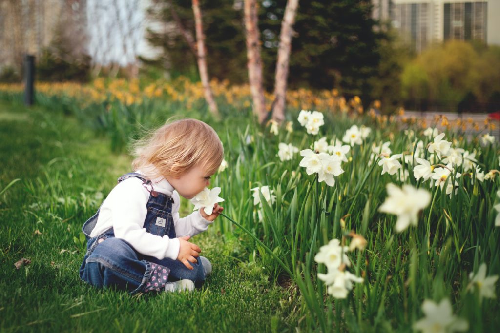 The Basics of Lawn Care: Aerating, Over-seeding, and Fertilizing