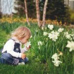 The Basics of Lawn Care: Aerating, Over-seeding, and Fertilizing