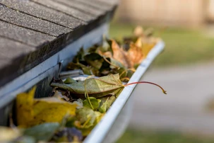  Seamless Gutters Can Improve Your Home's Curb Appeal