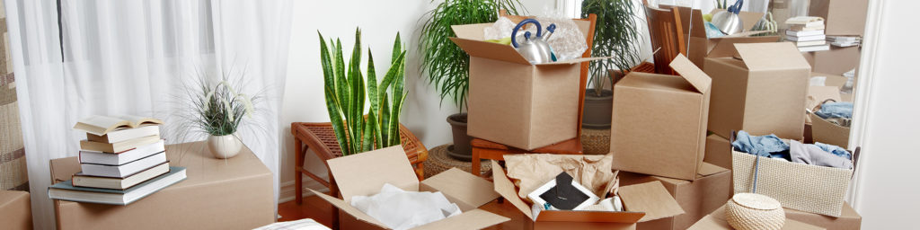 A Step-by-Step Guide to What to Expect From Professional Movers