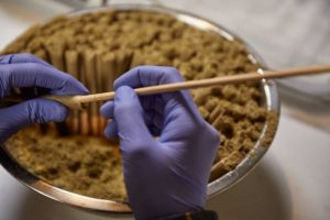 The Science Behind Delta 8 and Delta 9 THC: How Do They Work?