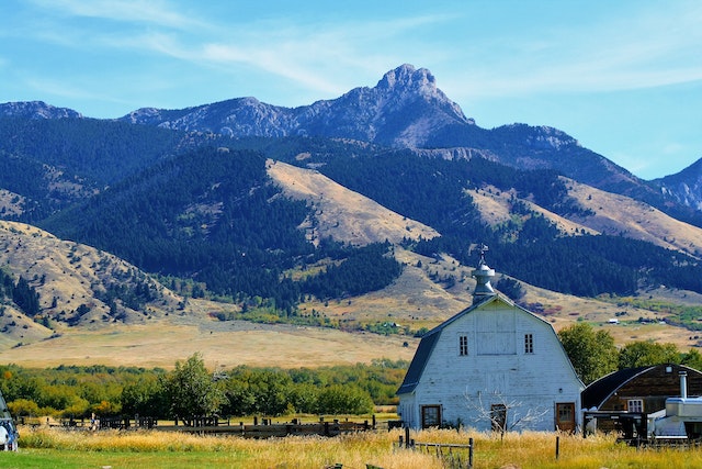 The Ultimate Guide to Ranch Insurance - Everything You Need to Know