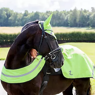 Why Should You Invest in High Visibility Riding Wear?