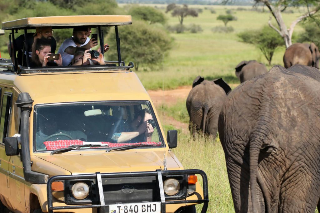 Creating Your Ideal Itinerary in Africa