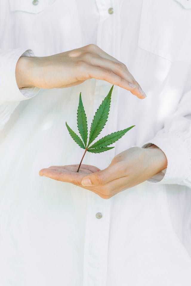 The Landscape of Cannabis Marketing: Strategies for a Budding Industry